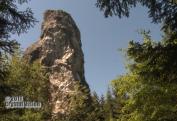 HRICOVSKA SKALNA IHLA (5)